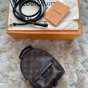 Louis Vuitton Palm Springs Mini Backpack